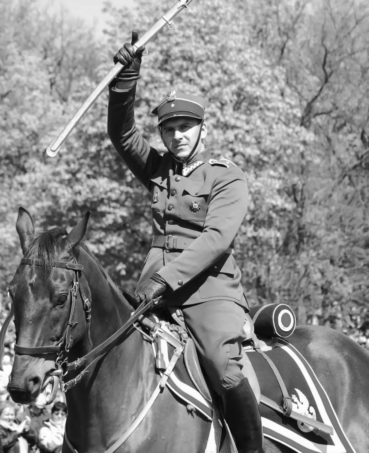 A cavalryman on horseback raised a saber in his hand